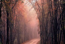 欧博官网:奥布拉克:出局后没人能睡好觉,我们可能是规则改变的牺牲品.