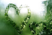 欧博官网:美女#李月汝 #李月汝生日 #中国女篮.