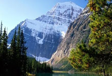 欧博官网：尼科-威廉姆斯：主场的球迷就像第12人，我们希望参加欧联杯决赛.